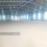 Kho Xưởng Mới Quận Gò Vấp, Diện Tích: 1000M2 Giá Chỉ 60 Triệu/Tháng Cho Thuê