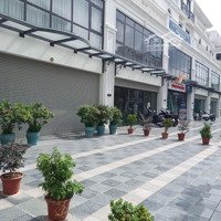 Cắt Lỗ Bán Cấp, Shophouse Sao Biển Vinhomes Ocean Park 1, 140M2 5T 10 Tỷ