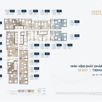 Giỏ Hàng Độc Quyền Studio, 1N- 3 Phòng Ngủ Duplex, Penthouse Dự Án Masterise Grand Avenue Cổ Loa, Đông Anh