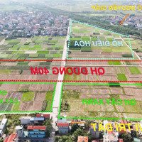 Mở Bán Lô Đất Vị Trí Đẹp Nhất Nguyên Khê - View Đường 40M - Siêu Tiềm Năng