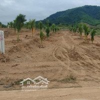 18 Lô Diện Tích 500M2 Giá Bán 439 Triệu Tại Vùng Ven Nha Trang