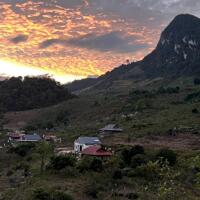 Mộc Châu: Bán đất nghỉ dưỡng 5000m2 view đồi chè xanh mát, tiềm năng homestay