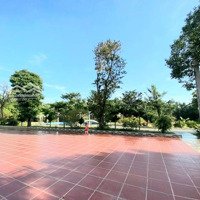 Bán 16000M2 Villa Trang Trại, Hồ Bơi+ Trang Trại Và Cây Ăn Quả, Không Gian Nghỉ Dưỡng Tuyệt Đỉnh