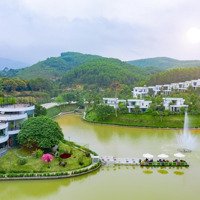 Bán Nhanh Biệt Thự Ivory Hòa Bình View Hồ 250M2 Giá Siêu Đẹp