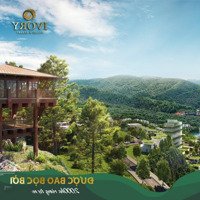 Bán Nhanh Biệt Thự Ivory Hòa Bình View Hồ 250M2 Giá Siêu Đẹp