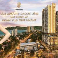 Bán 10 Suất Ưu Đãi Nội Bộ - Simona Heights (Trần Hưng Đạo), Chiết Khấu 25% - Biển 200M - Sổ Lâu Dài