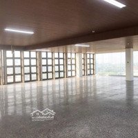 Cho Thuê Kho, Nhà Xưởng 550M2 Tại 100, Phú Hữu, Thủ Đức, Hồ Chí Minh, Giá Thỏa Thuận