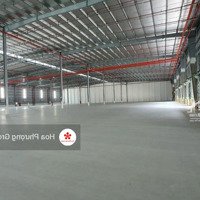 Cty Hoa Phượng Cho Thuê Kho, Xưởng Các Tại Thái Bình. (1000M2 - 50.000 M2)