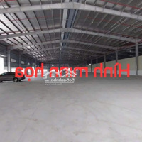 Cho Thuê Kho Diện Tích Từ 5000M2 Đến 10000M2, Tại Kiến An Pccc Vách Tường , Trạm Điện Công Suất Lớn