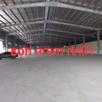 Cho Thuê Kho Diện Tích Từ 5000M2 Đến 10000M2, Tại Kiến An Pccc Vách Tường , Trạm Điện Công Suất Lớn