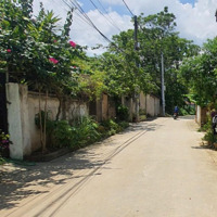 342 Đất Làng Đại Học Quốc Gia Hà Nội Giá Rẻ Gần Xanh Villas