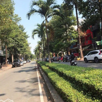 Ngộp Nặng 10 Tỷ Cần Bán Nhà Trệt 2 Tầng Mặt Tiền Nguyễn Quý Đức Kđt An Phú An Khánh, Có Hđ Thuê