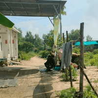 Cần tiền bán nhanh đất Mỹ Xuân - Phú Mỹ giá hợp lí có thể thương lượng