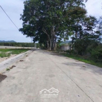 Bán Đất Phường Tân Phước, Phú Mỹ, Brvt