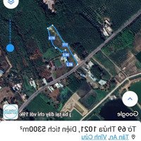 Bán 5,3 Sào Mặt Tiền Đường Cộ Cây Xoài, Tân An, Vĩnh Cửu, Đồng Nai