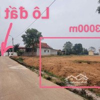 Đất Thôn Đình - Thanh Vân - Tam Dương - Vĩnh Phúc
Giá Nhỉnh 800 Triệu
- Diện Tích 97,6M2 Thổ Cư 50M, Mặ