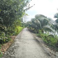 601M2 Thổ Cư Kèm Nhà Cấp 4 - 1,8 Tỷ - Thanh Hóa, Long An