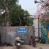 Hot! Cho Thuê Kho, Nhà Xưởng 380M2 Tại Đường Bàu Mây, Xã An Tịnh, Trảng Bàng, Tây Ninh, 7 Triệu Vnd