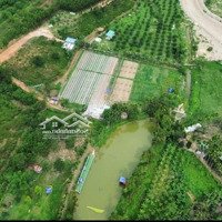 Bán Nhà Vườn Hòa Ninh 15.000M2. Có Sẵn Ao Hồ, Nhà C4, Vườn Cây Ăn Quả