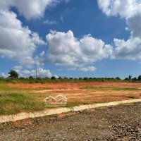 Bán 10.000M2 (1 Ha) Full Ont Mặt Tiền Đường Hàm Kiệm - Tiến Thành, Gần Novaworld Pt, Phan Thiết