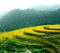 Bán Trang Trại Nghỉ Dưỡng Ở Xã Yên Hoà, Đà Bắc, Hòa Bình, 70 Nghìn / M2, 45000 M2