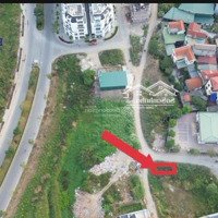 Cần Bán Lô Góc Đất Dịch Vụ Di Trạch, Huyện Hoài Đứcdiện Tích110 M2