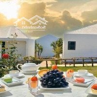 Chuyển Nhượng Resort Đang Hoạt Động. Chính Chủ