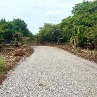 Vườn Trái Cây Tại Thành Phố Long Khánh, Đồng Nai Giá Chỉ 650 Triệu/1000M2