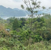 2000 M2 View Hồ Hòa Bình Tại Hiền Lương, Đà Bắc Giá Chỉ 8Xx Tr
- Thổ Cư 200 M2