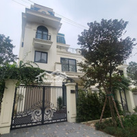Quỹ Căn Biệt Thự The Phoenix Garden Từ 200M, 400M2 Giá Chỉ 8X Đón Sóng Vin Đan Phượng
