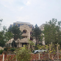 Quỹ Căn Biệt Thự The Phoenix Garden Từ 200M, 400M2 Giá Chỉ 8X Đón Sóng Vin Đan Phượng