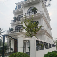 Quỹ Căn Biệt Thự The Phoenix Garden Từ 200M, 400M2 Giá Chỉ 8X Đón Sóng Vin Đan Phượng