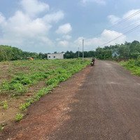 Bán Đất Tại Đường Dây 2, Xã Bình Châu, Xuyên Mộc, Bà Rịa Vũng Tàu, 6,2 Tỷ, 14389 M2