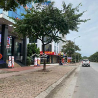 Mặt Phố Dương Nội - Vỉa Hè Bát Ngát - 55M 7 Tầng Thang Máy - Giá Tốt