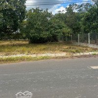 Bán Đất Tại Xã Xuân Hiệp, Giá Siêu Hời 3,3 Tỷ Vnd, Diện Tích 1120 M2