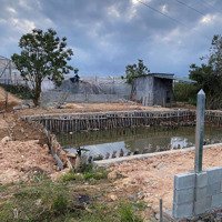 Siêu Phẩm Đất Đà Lạt 500M. Sổ Riêng, Có Nhà & Hồ Cá. Giá Chỉ 6.5 Tỷ