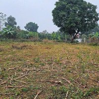 Bán 1568M2 Đất Tại Cư Yên - Lương Sơn - Hòa Bình