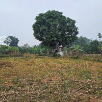 Bán 1568M2 Đất Tại Cư Yên - Lương Sơn - Hòa Bình