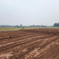 Bán Đất Tại Đt 419, Long Thượng, Phúc Thọ, Hà Nội, 1 Tỷ, 1000M2 Hot!