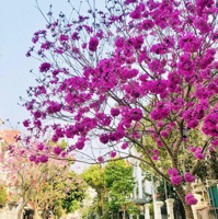 Bán Bt 240M2, 60 Tỷ Vnd Tại Khu Đô Thị Việt Hưng, Long Biên, Hà Nội - Hot!