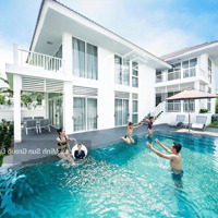 Giỏ Hàng Độc Quyền Biệt Thự Premier Village Đà Nẵng, Giá Thanh Khoản Cao Và Cho Thuê Cao