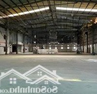 Siêu Phẩm Kho Xưởng 3.300M2 Hóc Môn Cho Thuê Hợp Đồng Linh Hoạt, Phù Hợp Mọi Doanh Nghiệp