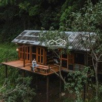 Bán Đất Trang Trại Nghỉ Dưỡng Tại Cao Phong - Hoà Bình. Liên Hệ: 0326.721.368