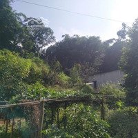 Bán Đất Trang Trại Nghỉ Dưỡng Tại Cao Phong - Hoà Bình. Liên Hệ: 0326.721.368
