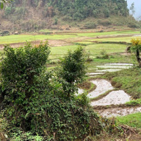 Lô Đất Siêu Đẹp Có Ao View Thoáng Cách Đồng Giá Rẻ Chỉ Có 399 Triệu Tại Đà Bắc Hòa Bìnhdiện Tích2000M2