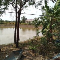 Bán 50000M Vuông Giá Rẻ Chính Chủ, 0345249218