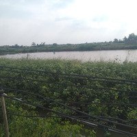 Bán 50000M Vuông Giá Rẻ Chính Chủ, 0345249218