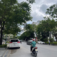 (Hiếm) Bán Nhà Mặt Phố Trung Tâm Hoàn Kiếm - Phường Tràng Tiền, 1 Sổ 1 Chủ, 345M2,Mặt Tiền13M, 345 Tỷ