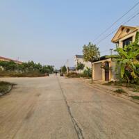 Bán đất đấu giá tại Kim Long, Tam Dương. Cạnh trường mn Kim Long B