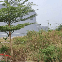 Đất Tân Hòa sẵn 100TC giá bao thị trường